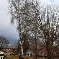 20220217_161757.jpg